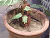 20130105130124-DSCF9489.JPG