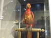 20130105130209-DSCF9492.JPG