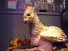 20130105131417-DSCF9498.JPG
