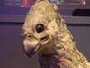 20130105131422-DSCF9499.JPG