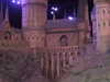 20130105135521-DSCF9543.JPG