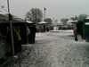 2013-01-20:Chislehurst Snow

