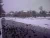 20130120115815-IMG-20130120-00008.jpg