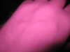 2013-02-25:IR camera first experiment
