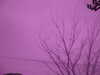 20130323140847-IMG_5789.JPG