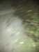 2013-03-25:Snow
