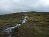 20130329104646-DSCF9558.JPG