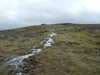 20130329104651-DSCF9559.JPG