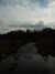 20130329132340-DSCF9583.JPG