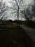 20130329142647-DSCF9585.JPG