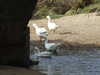20130329142841-DSCF9593.JPG