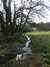 20130329143034-DSCF9596.JPG