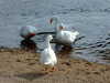 20130329143338-DSCF9605.JPG