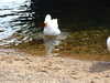 20130329143346-DSCF9606.JPG