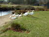 20130329143443-DSCF9608.JPG