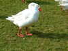 20130329143530-DSCF9610.JPG