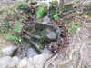 20130329153724-DSCF9613.JPG