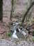 20130329155336-DSCF9615.JPG