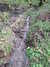 20130329155544-DSCF9618.JPG