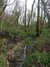 20130329155549-DSCF9619.JPG