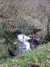 20130329160435-DSCF9620.JPG