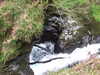 20130329173914-DSCF9646.JPG
