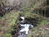 20130329173951-DSCF9648.JPG