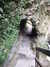 20130329174008-DSCF9651.JPG