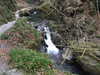 20130329174439-DSCF9654.JPG