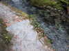 20130329175135-DSCF9656.JPG