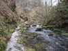 20130329175228-DSCF9658.JPG