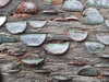 20130329175936-DSCF9662.JPG