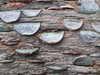 20130329175945-DSCF9663.JPG