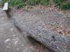 20130329180006-DSCF9664.JPG