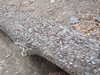 20130329180014-DSCF9665.JPG