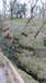20130329180115-20130329-180115-050.jpg