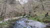 20130329184824-20130329-184824-122.jpg