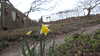 20130329191702-20130329-191702-165.jpg
