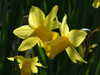 20130330111323-DSCF9684.JPG
