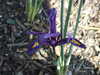 20130330112200-DSCF9689.JPG
