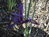20130330112203-DSCF9690.JPG