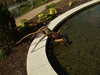20130330112532-DSCF9695.JPG