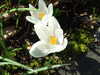 20130330112735-DSCF9696.JPG