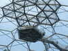 20130330114320-DSCF9704.JPG