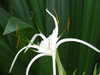20130330114623-DSCF9705.JPG