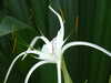 20130330114626-DSCF9706.JPG