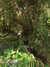 20130330114853-DSCF9708.JPG