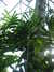 20130330115102-DSCF9711.JPG