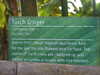 20130330115107-DSCF9712.JPG