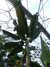 20130330115315-DSCF9715.JPG